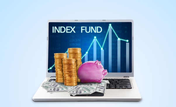 A Beginners Guide to Investing in Vanguard Index Funds: What You Need To Know